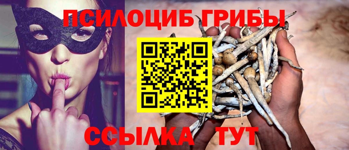 Абинск  Псилоцибиновые грибы прущие грибы  Вход с VPN  Псилоцибиновые грибы Psilocybe 